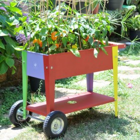 Urban Garden Trolley Kids urbangardeningshop 3